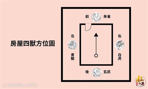 電視要放龍邊還是虎邊|【虎邊放電視化解】電視櫃的風水4要點擺錯犯禁忌恐帶衰 